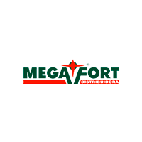 The Mega Fort